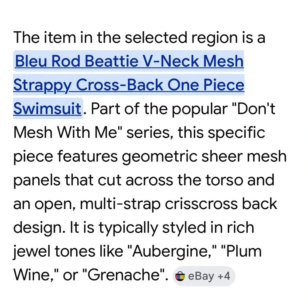 Bleu Rod Beattie One Piece Swimsuit  Grenache Burgundy Mesh Strappy Back size 6
